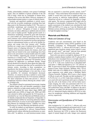 286	 Journal of Biomolecular Screening 20(2)
Finally, echinochadins constitute a new group of antifungal
agents. They are inhibitors of glucan synthetase in the cell
wall of fungi, which has no counterpart in human hosts,
resulting in less severe side effects. However, emergence of
echinocandin-resistant strains is a cause of clinical concern.
Systemic and superficial candidiasis is strictly associ-
ated with the reversible morphotype switching from bud-
ding yeasts to the filamentous hyphae (Y-H).6
The yeast is a
unicellular morphotype and considered the commensal
form of C. albicans.7
Derogation of innate or adaptive
immunity can induce adherence to epithelia and conversion
from yeast to hyphal growth.6
Hyphal growth results in a
filamentous morphology initiated by germ tube formation
at a yeast mother cell. Apical growth at the tip of the fila-
ment continues with occasional branching events. Hyphae
have been reported to be essential for invasion and dissemi-
nation to noncommensal niches as well as for biofilm for-
mation and escape from host immune cells.6
Notably,
biofilms are a major cause of medical device failure and a
frequent source of relapsing infections.8
C. albicans tran-
scription factor knockout mutants (for instance, Δedt1 and
Δefg1) that are locked in the yeast morphology have been
shown to be nonvirulent in animal models and to be unable
to form biofilms, supporting the concept of morphotype
transition as a virulence trait.8–10
We reasoned that identifi-
cation of compounds that inhibit the Y-H transition can be
exploited for application as antifungal therapy. Fungal
growth should not be altered by these agents but rather redi-
rected into a commensal state that can be controlled by the
immune system. According to these assumptions, we
hypothesize that during treatment with such agents, selec-
tion pressure on fungal pathogens is low and, thus, in turn
the possibility for resistance development decreased.
Therefore, we aimed to develop a method to screen large
chemical compound libraries for Y-H transition inhibitors.
The ideal compounds are those that prevent C. albicans
morphotype transition without affecting the cellular viabil-
ity of fungal cells.
The method is based on automated microscopic imaging
of labeled fungal cells and thereafter quantitative image
analysis, referred to as high-content analysis (HCA). Using
HCA, we calculated the mean object shape (MOS) and
length/width ratio (LWR) of fungal cells. MOS and LWR
were selected to define and quantify the Y-H transition, as
calculated by eq 1 (see the Materials and Methods section).
To identify compounds that are fungistatic or fungicidal, we
quantified fungal viability by measuring adenosine triphos-
phate (ATP) levels, an assay we previously applied to screen
drug libraries for antifungal activity.5
Viability was calcu-
lated using eq 2 (see the Materials and Methods section).
To verify our method, we used farnesol, a natural quorum-
sensing molecule secreted by C. albicans. Farnesol blocks
hyphal growth without affecting the proliferation as yeast-
form cells.8
In addition, we used knockout-mutant strains
that are restricted to yeast-form growth, namely, Δedt110
and Δefg1.9
These transcription factor knockout strains are
unable to switch from yeast form to hyphal growth, even
when growing in otherwise hypha-inducing conditions.
Thimerosal served as a reference for fungistatic or fungi-
cidal agents. The mercury compound kills fungal cells by
disruption of mitochondria. Furthermore, the Z′ factors for
quality assessment of the method were calculated for both
LWR and MOS at 6 h using eq 3 (see the Materials and
Methods section), defining our method as valid and suitable
for high-throughput screening.11
Materials and Methods
Media and Cultivation of Fungi
Conditions and cell concentrations were based on the
antifungal susceptibility testing (AFST) guidelines of the
European Committee on Antimicrobial Susceptibility
Testing (EUCAST).12
C. albicans (SC5314) and C. albicans
engineered gene knockout mutant strains locked to yeast-
form growth, Δedt110
and Δefg19
(derived from parental
strain C. albicans CAI4), were used in this study.
Yeast cells were grown overnight by shaking at 30 °C in
synthetic complete dropout medium with 2% glucose (SC).
Subcultures were inoculated from an overnight culture to a
final concentration of 107
cells/mL in SC and incubated for
4 h at 30 °C. Cells were washed twice in phosphate-buff-
ered saline 1× (PBS) and adjusted to 2.0 × 105
cells/mL in
PBS. To each well of a black, 96-well plate with transparent
bottom (Costar, Fisher Scientific, Waltham, MA), 150 µL
RPMI 1640 with 0.5% DMSO (0.5%) followed by 50 µL
yeast suspension were added using a WellMate Matrix
(Thermo Scientific, Waltham, MA) to give a final volume
of 200 µL in each well. The plate was then incubated at 37 °C
at 5% CO2
for 3, 6, or 24 h. Under these conditions, C. albi-
cans yeast cells start to germinate and to grow as hyphae. To
keep the cells at the bottom of the well for better micro-
scopic imaging, the wells were pretreated with 0.1% w/v
poly-L-lysine (Sigma-Aldrich, St. Louis, MO) for 30 min
and washed three times with PBS. In addition to the above
conditions, we added 250 µM farnesol (Sigma-Aldrich) or
0.8% w/v thimerosal (Sigma-Aldrich) to SC5314 as refer-
ences for morphotype switching inhibition and fungicidal
activity, respectively.
Determination and Quantification of Y-H Switch
Using HCA
After incubation for 3, 6, and 24 h, C. albicans cells were
fixed with 2% paraformaldehyde and stained with 0.1% cal-
cofluor white (CFW; Sigma-Aldrich). We used the chitin-
specific fluorescent dye CFW to analyze the fluorescent
signal of stained fungal cell walls. Images were captured
at Umea University Library on August 21, 2015jbx.sagepub.comDownloaded from
 
