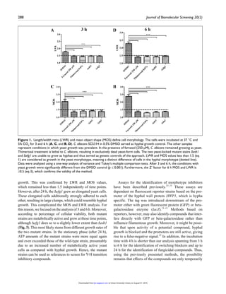 288	 Journal of Biomolecular Screening 20(2)
growth. This was confirmed by LWR and MOS values,
which remained less than 1.5 independently of time points.
However, after 24 h, the Δefg1 grew as elongated yeast cells.
These elongated cells additionally strongly adhered to each
other, resulting in large clumps, which could resemble hyphal
growth. This complicated the MOS and LWR analysis. For
this reason, we focused on the analysis of 3 and 6 h. Moreover,
according to percentage of cellular viability, both mutant
strains are metabolically active and grow at these time points,
although Δefg1 does so to a slightly lower extent than Δedt1
(Fig. 3). This most likely stems from different growth rates of
the two mutant strains. In the stationary phase (after 24 h),
ATP amounts of the mutant strains were more equal again
and even exceeded those of the wild-type strain, presumably
due to an increased number of metabolically active yeast
cells as compared with hyphal growth. Hence, the mutant
strains can be used as references to screen for Y-H transition
inhibitory compounds.
Assays for the identification of morphotype inhibitors
have been described previously.13–15
These assays are
dependent on fluorescent reporter strains based on the pro-
moter of the hyphal wall protein HWP1, which is hypha
specific. The tag was introduced downstream of the pro-
moter either with green fluorescent protein (GFP) or beta-
galactosidase enzyme (lacZ).13–15
Methods based on
reporters, however, may also identify compounds that inter-
fere directly with GFP or beta-galactosidase rather than
influence filamentous growth. Moreover, it might be possi-
ble that upon activity of a potential compound, hyphal
growth is blocked and the promoters are still active, giving
rise to a false-negative signal.15
In addition, the incubation
time with 4 h is shorter than our analysis spanning from 3 h
to 6 h for the identification of switching blockers and up to
24 h for the identification of fungicidal compounds. Thus,
using the previously presented methods, the possibility
remains that effects of the compounds are only temporarily
Figure 1.  Length/width ratio (LWR) and mean object shape (MOS) define cell morphology. The cells were incubated at 37 °C and
5% CO2
for 3 and 6 h (A, C, and B, D). C. albicans SC5314 in 0.5% DMSO served as hyphal growth control. The other samples
represent conditions in which yeast growth was prevalent. In the presence of farnesol (250 µM), C. albicans remained growing as yeast.
Thimerosal treatment is lethal to C. albicans, resulting in exclusively dead yeast-form cells. The two yeast-locked mutant stains Δedt1
and Δefg1 are unable to grow as hyphae and thus served as genetic controls of the approach. LWR and MOS values less than 1.5 (eq
1) are considered as growth in the yeast morphotype, meaning a distinct difference of cells in the hyphal morphotype (dotted line).
Data were analyzed using a one-way analysis of variance and Tukey’s multiple comparison tests. After 3 and 6 h, the conditions with
yeast growth were significantly different from the DMSO control (p ≤ 0.001). Furthermore, the Z′ factor for 6 h MOS and LWR is
≥0.5 (eq 3), which confirms the validity of the method.
at Umea University Library on August 21, 2015jbx.sagepub.comDownloaded from
 