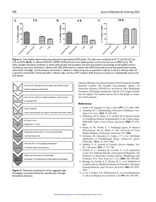290	 Journal of Biomolecular Screening 20(2)
Chemical Biology Consortium Sweden (CBCS) thank the Swedish
Research Council, the Swedish Governmental Agency for
Innovation Systems (VINNOVA), the Knut & Alice Wallenberg
foundation, the Kempe foundations, and the Carl Trygger founda-
tion for support. The funders had no role in the design or evalua-
tion of the research.
References
	 1.	 Sobel, J. D. Vaginitis. N. Engl. J. Med. 1997, 337, 1896–1903.
	 2.	 Arendrup, M. C. Epidemiology of Invasive Candidiasis. Curr.
Opin. Crit. Care. 2010, 16, 445–452.
	 3.	 Zilberberg, M. D.; Shorr, A. F.; Kollef, M. H. Secular Trends
in Candidemia-Related Hospitalization in the United States,
2000-2005. Infect. Control Hosp. Epidemiol. 2008, 29, 978–
980.
	4.	Dixon, D. M.; Walsh, T. J. Antifungal agents. In Medical
Microbiology; 4th ed.; Baron, S. Eds.; University of Texas
Medical Branch at Galveston: Galveston, TX; 1996.
	5.	 Stylianou, M.; Kulesskiy, E.; Lopes, J. P.; et al. Antifungal
Application of Nonantifungal Drugs. Antimicrob. Agents
Chemother. 2014, 58, 1055–1062.
	6.	Sudbery, P. E. Growth of Candida albicans Hyphae. Nat.
Rev. Microbiol. 2011, 9, 737–748.
	7.	Carlisle, P. L.; Banerjee, M.; Lazzell, A.; et al. Expression
Levels of a Filament-Specific Transcriptional Regulator Are
Sufficient to Determine Candida albicans Morphology and
Virulence. Proc. Natl. Acad. Sci. U.S.A. 2009, 106, 599–604.
	 8.	 Ramage, G.; Saville, S. P.; Wickes, B. L.; et al. Inhibition of
Candida albicans Biofilm Formation by Farnesol, a Quorum-
Sensing Molecule. Appl. Environ. Microbiol. 2002, 68, 5459–
5463.
	 9.	 Lo, H. J.; Kohler, J. R.; DiDomenico, B.; et al. Nonfilamentous
C. albicans Mutants Are Avirulent. Cell 1997, 90, 939–949.
Figure 3.  Cell viability determined using adenosine triphosphate (ATP) levels. The cells were incubated at 37 °C and 5% CO2
for
3, 6, and 24 h (A–C). C. albicans SC5314 in DMSO (0.5%) served as the hyphal growth control and was set as 100% (eq 2). The
other samples represent conditions in which yeast growth was prevalent and were expressed as percentage of the hyphal control.
Conditions used were wild-type C. albicans with 250 µM farnesol or treated with 0.8% thimerosal and the two yeast-locked mutant
stains Δedt1 and Δefg1. In the presence of farnesol, C. albicans is viable and grows as yeast-form cells for 3 and 6 h, whereas after 24
h, growth is diminished. Thimerosal kills C. albicans cells, and thus ATP is absent. Both knock-out strains are metabolically active at all
time points.
Figure 4.  Schematic presentation of the suggested high-
throughput screening method for identification of fungal
dimorphism blockers.
at Umea University Library on August 21, 2015jbx.sagepub.comDownloaded from
 