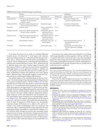 To broaden the impact of our study, we included additional
Candida strains. We tested the 7 novel agents with reference
strains and clinical isolates of C. albicans from bloodstream infec-
tions. The C. albicans strains showed similar susceptibilities to-
ward all 7 novel candidate agents, conﬁrming that our ﬁndings are
valid beyond common laboratory strains. The C. dubliniensis and
C. glabrata strains were more resistant against treatment with
these agents (Table 4). C. glabrata is known to be less susceptible to
antifungal therapy (14). In agreement with this, C. glabrata was
less susceptible to auranoﬁn than the other two Candida spp. No-
tably, methiothepin maleate and tosedostat were active against
both C. glabrata strains. This possibly suggests a broad anti-Can-
dida activity for methiothepin maleate and tosedostat.
The cellular targets of the identiﬁed drugs are known in hu-
mans. The dopaminergic drugs haloperidol and triﬂuperidol act
on G-protein-coupled receptors (GPCRs) (Table 6) (35, 36). Hal-
operidol has previously been described as a potential antifungal
agent in a S. cerevisiae-based chemical-genetic screen to identify
molecular targets for off-target drugs (21). In this screen, we iden-
tiﬁed the derivative drug triﬂuperidol and demonstrated the anti-
Candida activities of both peridols. GPCRs also exist in Candida
spp.; however, the major cellular pathways targeted by dopami-
nergic drugs are amino acid biosynthesis and metabolism (21).
The antineoplastic agent tosedostat is an aminopeptidase inhibi-
tor (Table 6) (23). The targeted cellular pathways of this drug in
eukaryotic cell lines are amino acid metabolism and reduced ac-
tivity of target of rapamycin (TOR) kinases (37). Remarkably,
rapamycin targets TOR kinases in C. albicans (38), and we re-
corded a very similar morphological effect for tosedostat and
rapamycin (Fig. 1), indicating that the drugs might have the same
target against fungi. Amonaﬁde is a topoisomerase inhibitor (22).
It is therefore likely, though not proven, that amonaﬁde targets
topoisomerases in fungi. Gene knockout of topoisomerase II in S.
cerevisiae resulted in severely attenuated DNA replication (39).
Stanozolol, melengestrol, and megestrol acetate are all pseudoste-
roids, and thus, their molecular targets are less predictable (Ta-
ble 6).
In summary, three independent assays identiﬁed 7 novel drugs
with dosage-dependent activities against C. albicans with MICs of
Յ4 ␮g/ml. This study conclusively adds a new pharmacological
approach to these drugs, and more importantly, it may help phy-
sicians select antineoplastic therapeutics with the antifungal activ-
ities identiﬁed here for groups of patients that are at high risk for
acquiring invasive candidiasis.
ACKNOWLEDGMENTS
This work was supported by grants to C.F.U. from the Swedish Research
Council VR-M (grant no. K2012-99X-21961-01-3), the Laboratory for
Molecular Medicine Sweden (MIMS), the Medical Faculty Umeå (grant
no. 316-886-10), and the Cancer Research Foundation in Northern Swe-
den (grant no. AMP 11-684).
Personnel at the High-Throughput Biomedicine Unit (FIMM Tech-
nology Centre, Helsinki, Finland) are acknowledged for their expert tech-
nical support. We thank Laura Turunen for her excellent assistance with
drugging compounds. Research infrastructure support was provided by
Biocenter Finland.
REFERENCES
1. Patterson TF. 2005. Advances and challenges in management of invasive
mycoses. Lancet 366:1013–1025. http://dx.doi.org/10.1016/S0140-6736
(05)67381-3.
2. Tortorano AM, Kibbler C, Peman J, Bernhardt H, Klingspor L, Grillot
R. 2006. Candidaemia in Europe: epidemiology and resistance. Int. J.
Antimicrob. Agents 27:359–366. http://dx.doi.org/10.1016/j.ijantimicag
.2006.01.002.
3. Zilberberg MD, Shorr AF, Kollef MH. 2008. Secular trends in candidemia-
relatedhospitalizationintheUnitedStates,2000–2005.Infect.ControlHosp.
Epidemiol. 29:978–980. http://dx.doi.org/10.1086/591033.
4. Falagas ME, Apostolou KE, Pappas VD. 2006. Attributable mortality of
candidemia: a systematic review of matched cohort and case-control stud-
ies. Eur. J. Clin. Microbiol. Infect. Dis. 25:419–425. http://dx.doi.org/10
.1007/s10096-006-0159-2.
5. Bergamasco MD, Garnica M, Colombo AL, Nucci M. 2013. Epidemi-
ology of candidemia in patients with hematologic malignancies and solid
tumours in Brazil. Mycoses 56:256–263. http://dx.doi.org/10.1111/myc
.12013.
6. Pfaller MA. 2012. Antifungal drug resistance: mechanisms, epidemiology,
and consequences for treatment. Am. J. Med. 125:S3–S13. http://dx.doi
.org/10.1016/j.amjmed.2011.11.001.
TABLE 6 Putative targets of identiﬁed drugs in Candida spp.
Drug
Humans Candida spp.
Function Therapeutic use Reference(s) Suggested target Reference(s)
Haloperidol HCl 5-HT agonist and dopamine receptor
antagonist class of G-protein-
coupled receptors
Antipsychotic agent 50–52 Gpr1 protein belongs to the
G-protein-coupled receptors
35, 36
Triﬂuperidol 2HCl Dopamine receptor antagonist class
of G-protein-coupled receptors
Antipsychotic agent 53 Gpr1 protein belongs to the
G-protein-coupled receptors
35, 36
Stanozolol Synthetic steroid Anemia and hereditary
angioedema
54, 55
Melengestrol acetate Progesterone agonist androgen and
estrogen receptor antagonist
Antineoplastic agent for
endometrial, breast,
and prostate cancers
56, 57
Megestrol acetate Progesterone agonist androgen and
estrogen receptor antagonist
Antineoplastic agent for
endometrial, breast,
and prostate cancers
58, 59
Tosedostat Aminopeptidase inhibitor Antileukemic agent and
myelodysplasia
23 Amino acid metabolism, reduced
phosphorylation of TOR
substrates
37
Amonaﬁde Topoisomerase inhibitor Antineoplastic agent 22 Topoisomerase II knockout affects
the DNA replication in budding
yeasts
39
Stylianou et al.
1060 aac.asm.org Antimicrobial Agents and Chemotherapy
onAugust21,2015byUMEAUNIVERSITYLIBRARYhttp://aac.asm.org/Downloadedfrom
 