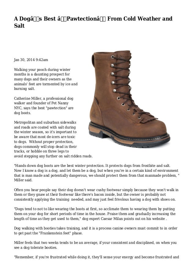 best boots for dog walking