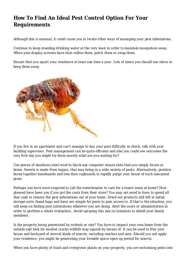 How To Find An Ideal Pest Control Option For Your Requirements