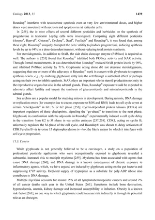 Entropy 2013, 15 1439
Roundup®
interferes with testosterone synthesis even at very low environmental doses, and higher
doses were associated with necrosis and apoptosis in rat testicular cells.
In [255], the in vitro effects of several different pesticides and herbicides on the synthesis of
progesterone in testicular Leydig cells were investigated. Comparing eight different pesticides
(Ammo®
, Banvel®
, Cotoran®
, Cyclone®
, Dual®
, Fusilade®
and Roundup®
), it was found that, among
these eight, Roundup®
uniquely disrupted the cells’ ability to produce progesterone, reducing synthesis
levels by up to 94% in a dose-dependent manner, without reducing total protein synthesis.
For steroidogenesis, in addition to StAR, the side chain cleavage enzyme (P450scc) is required as
well. The authors in [255] found that Roundup®
inhibited both P450scc activity and StAR activity.
Through formal measurements, it was determined that Roundup®
reduced StAR protein levels by 90%,
and inhibited P450scc activity by 71%. Glyphosate acting alone did not decrease steroidogenesis,
suggesting that one or more of the adjuvants in Roundup®
work in concert with glyphosate to suppress
synthesis levels, e.g., by enabling glyphosate entry into the cell through a surfactant effect or perhaps
acting on their own to inhibit synthesis. StAR plays an important role in steroid production not only in
the reproductive organs but also in the adrenal glands. Thus, Roundup®
exposure would be expected to
adversely affect fertility and impair the synthesis of glucocorticoids and mineralocorticoids in the
adrenal glands.
Sea urchins are a popular model for studying mitosis in development. During mitosis, DNA damage
or replication errors (for example due to excess exposure to ROS and RNS) leads to cell cycle arrest at
certain “checkpoints” in G1, S, or G2 phase [256]. Cyclin-dependent protein kinases (CDKs) are
important regulators of these checkpoints, signaling the “go-ahead” to transition to the next phase.
Glyphosate in combination with the adjuvants in Roundup®
experimentally induced a cell cycle delay
in the transition from G2 to M phase in sea urchin embryos [257,258]. CDK1, acting on cyclin B,
universally regulates the M-phase of the cell cycle, and Roundup® was shown to delay activation of
CDK1/cyclin B via tyrosine 15 dephosphorylation in vivo, the likely means by which it interferes with
cell cycle progression.
11.3. Cancer
While glyphosate is not generally believed to be a carcinogen, a study on a population of
professional pesticide applicators who were occupationally exposed to glyphosate revealed a
substantial increased risk to multiple myeloma [259]. Myeloma has been associated with agents that
cause DNA damage [260], and DNA damage is a known consequence of chronic exposure to
inflammatory agents, which, we have argued, are induced by glyphosate acting on the gut bacteria and
suppressing CYP activity. Depleted supply of tryptophan as a substrate for poly-ADP ribose also
contributes to DNA damage.
Multiple myeloma accounts for around 15% of all lymphatohematopoietic cancers and around 2%
of all cancer deaths each year in the United States [261]. Symptoms include bone destruction,
hypercalcemia, anemia, kidney damage and increased susceptibility to infection. Obesity is a known
risk factor [261], so one way in which glyphosate could increase risk indirectly is through its potential
role as an obesogen.
 