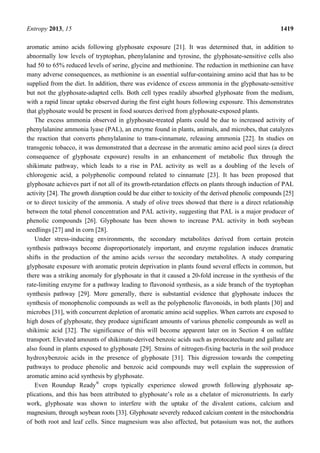Entropy 2013, 15 1419
aromatic amino acids following glyphosate exposure [21]. It was determined that, in addition to
abnormally low levels of tryptophan, phenylalanine and tyrosine, the glyphosate-sensitive cells also
had 50 to 65% reduced levels of serine, glycine and methionine. The reduction in methionine can have
many adverse consequences, as methionine is an essential sulfur-containing amino acid that has to be
supplied from the diet. In addition, there was evidence of excess ammonia in the glyphosate-sensitive
but not the glyphosate-adapted cells. Both cell types readily absorbed glyphosate from the medium,
with a rapid linear uptake observed during the first eight hours following exposure. This demonstrates
that glyphosate would be present in food sources derived from glyphosate-exposed plants.
The excess ammonia observed in glyphosate-treated plants could be due to increased activity of
phenylalanine ammonia lyase (PAL), an enzyme found in plants, animals, and microbes, that catalyzes
the reaction that converts phenylalanine to trans-cinnamate, releasing ammonia [22]. In studies on
transgenic tobacco, it was demonstrated that a decrease in the aromatic amino acid pool sizes (a direct
consequence of glyphosate exposure) results in an enhancement of metabolic flux through the
shikimate pathway, which leads to a rise in PAL activity as well as a doubling of the levels of
chlorogenic acid, a polyphenolic compound related to cinnamate [23]. It has been proposed that
glyphosate achieves part if not all of its growth-retardation effects on plants through induction of PAL
activity [24]. The growth disruption could be due either to toxicity of the derived phenolic compounds [25]
or to direct toxicity of the ammonia. A study of olive trees showed that there is a direct relationship
between the total phenol concentration and PAL activity, suggesting that PAL is a major producer of
phenolic compounds [26]. Glyphosate has been shown to increase PAL activity in both soybean
seedlings [27] and in corn [28].
Under stress-inducing environments, the secondary metabolites derived from certain protein
synthesis pathways become disproportionately important, and enzyme regulation induces dramatic
shifts in the production of the amino acids versus the secondary metabolites. A study comparing
glyphosate exposure with aromatic protein deprivation in plants found several effects in common, but
there was a striking anomaly for glyphosate in that it caused a 20-fold increase in the synthesis of the
rate-limiting enzyme for a pathway leading to flavonoid synthesis, as a side branch of the tryptophan
synthesis pathway [29]. More generally, there is substantial evidence that glyphosate induces the
synthesis of monophenolic compounds as well as the polyphenolic flavonoids, in both plants [30] and
microbes [31], with concurrent depletion of aromatic amino acid supplies. When carrots are exposed to
high doses of glyphosate, they produce significant amounts of various phenolic compounds as well as
shikimic acid [32]. The significance of this will become apparent later on in Section 4 on sulfate
transport. Elevated amounts of shikimate-derived benzoic acids such as protocatechuate and gallate are
also found in plants exposed to glyphosate [29]. Strains of nitrogen-fixing bacteria in the soil produce
hydroxybenzoic acids in the presence of glyphosate [31]. This digression towards the competing
pathways to produce phenolic and benzoic acid compounds may well explain the suppression of
aromatic amino acid synthesis by glyphosate.
Even Roundup Ready®
crops typically experience slowed growth following glyphosate ap-
plications, and this has been attributed to glyphosate’s role as a chelator of micronutrients. In early
work, glyphosate was shown to interfere with the uptake of the divalent cations, calcium and
magnesium, through soybean roots [33]. Glyphosate severely reduced calcium content in the mitochondria
of both root and leaf cells. Since magnesium was also affected, but potassium was not, the authors
 