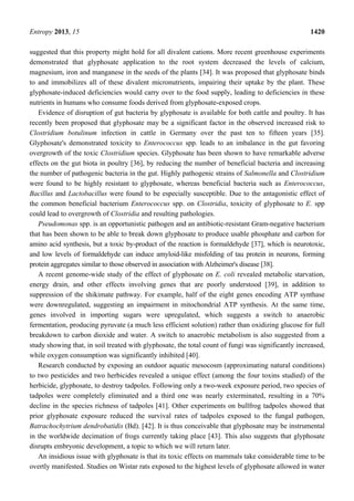 Entropy 2013, 15 1420
suggested that this property might hold for all divalent cations. More recent greenhouse experiments
demonstrated that glyphosate application to the root system decreased the levels of calcium,
magnesium, iron and manganese in the seeds of the plants [34]. It was proposed that glyphosate binds
to and immobilizes all of these divalent micronutrients, impairing their uptake by the plant. These
glyphosate-induced deficiencies would carry over to the food supply, leading to deficiencies in these
nutrients in humans who consume foods derived from glyphosate-exposed crops.
Evidence of disruption of gut bacteria by glyphosate is available for both cattle and poultry. It has
recently been proposed that glyphosate may be a significant factor in the observed increased risk to
Clostridium botulinum infection in cattle in Germany over the past ten to fifteen years [35].
Glyphosate's demonstrated toxicity to Enterococcus spp. leads to an imbalance in the gut favoring
overgrowth of the toxic Clostridium species. Glyphosate has been shown to have remarkable adverse
effects on the gut biota in poultry [36], by reducing the number of beneficial bacteria and increasing
the number of pathogenic bacteria in the gut. Highly pathogenic strains of Salmonella and Clostridium
were found to be highly resistant to glyphosate, whereas beneficial bacteria such as Enterococcus,
Bacillus and Lactobacillus were found to be especially susceptible. Due to the antagonistic effect of
the common beneficial bacterium Enterococcus spp. on Clostridia, toxicity of glyphosate to E. spp
could lead to overgrowth of Clostridia and resulting pathologies.
Pseudomonas spp. is an opportunistic pathogen and an antibiotic-resistant Gram-negative bacterium
that has been shown to be able to break down glyphosate to produce usable phosphate and carbon for
amino acid synthesis, but a toxic by-product of the reaction is formaldehyde [37], which is neurotoxic,
and low levels of formaldehyde can induce amyloid-like misfolding of tau protein in neurons, forming
protein aggregates similar to those observed in association with Alzheimer's disease [38].
A recent genome-wide study of the effect of glyphosate on E. coli revealed metabolic starvation,
energy drain, and other effects involving genes that are poorly understood [39], in addition to
suppression of the shikimate pathway. For example, half of the eight genes encoding ATP synthase
were downregulated, suggesting an impairment in mitochondrial ATP synthesis. At the same time,
genes involved in importing sugars were upregulated, which suggests a switch to anaerobic
fermentation, producing pyruvate (a much less efficient solution) rather than oxidizing glucose for full
breakdown to carbon dioxide and water. A switch to anaerobic metabolism is also suggested from a
study showing that, in soil treated with glyphosate, the total count of fungi was significantly increased,
while oxygen consumption was significantly inhibited [40].
Research conducted by exposing an outdoor aquatic mesocosm (approximating natural conditions)
to two pesticides and two herbicides revealed a unique effect (among the four toxins studied) of the
herbicide, glyphosate, to destroy tadpoles. Following only a two-week exposure period, two species of
tadpoles were completely eliminated and a third one was nearly exterminated, resulting in a 70%
decline in the species richness of tadpoles [41]. Other experiments on bullfrog tadpoles showed that
prior glyphosate exposure reduced the survival rates of tadpoles exposed to the fungal pathogen,
Batrachochytrium dendrobatidis (Bd). [42]. It is thus conceivable that glyphosate may be instrumental
in the worldwide decimation of frogs currently taking place [43]. This also suggests that glyphosate
disrupts embryonic development, a topic to which we will return later.
An insidious issue with glyphosate is that its toxic effects on mammals take considerable time to be
overtly manifested. Studies on Wistar rats exposed to the highest levels of glyphosate allowed in water
 