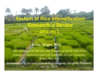 System of Rice Intensification Research: a Review 
SRI International Network and Resources Center (SRI-Rice) 
College of Agriculture and Life Sciences, Cornell University, Ithaca New York 
1993-2013 
Presentation at the International Rice Congress, Bangkok, Thailand, Oct 31, 2014 
Erika Styger, PhD  
