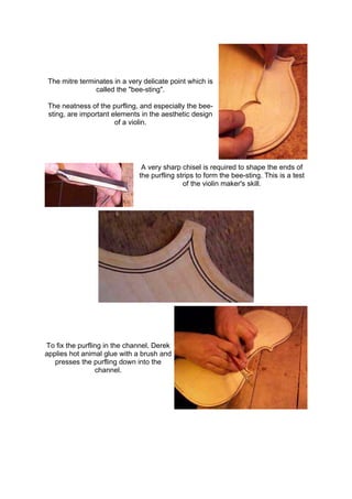 The mitre terminates in a very delicate point which is
called the "bee-sting".
The neatness of the purfling, and especially the bee-
sting, are important elements in the aesthetic design
of a violin.
A very sharp chisel is required to shape the ends of
the purfling strips to form the bee-sting. This is a test
of the violin maker's skill.
To fix the purfling in the channel, Derek
applies hot animal glue with a brush and
presses the purfling down into the
channel.
 