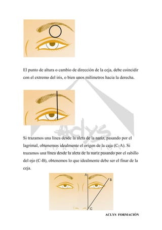 ACLYS FORMACIÓN
El punto de altura o cambio de dirección de la ceja, debe coincidir
con el extremo del iris, o bien unos milímetros hacia la derecha.
Si trazamos una línea desde la aleta de la nariz, pasando por el
lagrimal, obtenemos idealmente el origen de la caja (C-A). Si
trazamos una línea desde la aleta de la nariz pasando por el rabillo
del ojo (C-B), obtenemos lo que idealmente debe ser el finar de la
ceja.
 