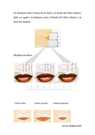 ACLYS FORMACIÓN
La distancia entre la base de la nariz y el borde del labio inferior,
debe ser igual a la distancia entre el borde del labio inferior y la
base del mentón.
Medidas de labios
Labios finos Labios grandes Labios pequeños
 