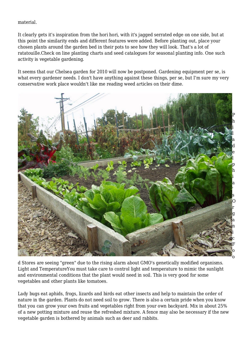 New Guidance For Simple Methods Of Container Gardening