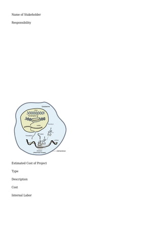 Name of Stakeholder
Responsibility
Estimated Cost of Project
Type
Description
Cost
Internal Labor
 