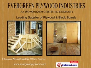 Leading Supplier of Plywood & Block Boards




© Evergreen Plywood Industries, All Rights Reserved


              www.evergreenplywood.com
 