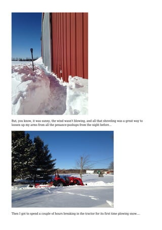 But, you know, it was sunny, the wind wasn't blowing, and all that shoveling was a great way to
loosen up my arms from all the penance-pushups from the night before...
Then I got to spend a couple of hours breaking in the tractor for its first time plowing snow....
 