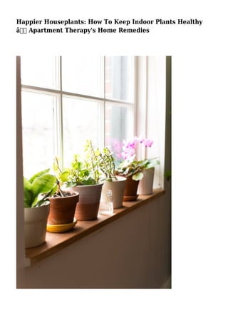 Happier Houseplants: How To Keep Indoor Plants Healthy
â€” Apartment Therapy's Home Remedies
 