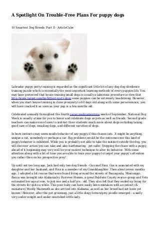 A Spotlight On Trouble-Free Plans For puppy dogs
10 Smartest Dog Breeds: Part II - ArticleCube
Labrador puppy potty training is regarded as the significant little bit of any dog dog obedience
training puzzle which is essentially the most important learning methods of every puppies life. You
may have perceived that house training small dogs is usually a laborious procedure in view that
http://www.target.com/bp/littlest+pet+shop some puppies can be extremely headstrong. However,
when you start house training in close proximity to 60 days old along with some perseverance, you
will have cracked it as soon as your pup is a few months old.
Celebrated annually throughout the fourth racao medicamentosa week of September, National Dog
Week is usually a time for you to honor and celebrate dogs as pets as well as friends. Second grade
teachers can make use of soon to instruct their students much more about dogs including taking
good care of dogs, emailing dogs, and different varieties of dogs.
In born instincts may seem inside behavior of any puppy if this chases cats. It might be anything,
unique a cat, somebody or perhaps a car. Big problems would be the outcome once this kind of
puppy behavior is exhibited. While you is probably not able to take the instinct outside the dog, you
will discover action you can take and also hardwearing . pet safer. Stopping the chase with a puppy
ahead of it beginning may very well be your easiest technique to alter its behavior. With some
attention along with a bit of time you are able to train your puppy to target your puppy's attention
you rather then on his prospective prey!
Up until not too long ago, Jack had only two dog friends - Gus and Finn. Gus is associated with my
daughter and her husband, and Finn is a member of my Granddaughter. Then about seven months
ago, I adopted a bit rescue that were found living around the streets of Pascagoula, Mississippi.
Becca was brought into Alabama by Furrever Homes, a great Baldwin County rescue group and Vets
estimated her age at one, to just one and a half yrs . old. They also felt that they ended up living for
the streets for quite a while. This poor baby can have easily been mistaken with an extinct (&
miniature) Woolly Mammoth as she arrived into Alabama, as well as her breed had not been yet
known! However, after the pet grooming, just a little dingy brown/grey poodle emerged - a sadly
very under-weight and under-nourished litttle lady.
 