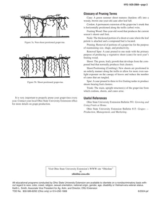 HYG-1429-2004—page 3



                                                                        Glossary of Pruning Terms
                                                                            Cane: A green summer shoot matures (hardens off) into a
                                                                        woody, brown one-year-old cane after leaf fall.
                                                                            Cordon: A permanent extension of the grapevineʼs trunk that
                                                                        is horizontally positioned along the trellis (arbor) wire.
                                                                            Fruiting Wood: One-year-old wood that produces the current
                                                                        seasonʼs shoots and fruit.
                                                                            Node: The thickened portion of a shoot or cane where the leaf
            Figure 5a. Non-shoot positioned grapevine.
                                                                        petiole is attached and a compound bud is located.
                                                                            Pruning: Removal of portions of a grapevine for the purpose
                                                                        of maintaining size, shape, and productivity.
                                                                            Renewal Spur: A cane pruned to one node with the primary
                                                                        purpose of producing a vegetative shoot (cane) for next yearʼs
                                                                        fruiting wood.
                                                                            Shoot: The green, leafy growth that develops from the com-
                                                                        pound bud that normally produces fruit clusters.
                                                                            Shoot Positioning (Combing): New shoots are positioned in
                                                                        an orderly manner along the trellis to allow for more even sun-
                                                                        light exposure on the canopy of leaves and reduce the number
                                                                        of canes that are tangled.
               Figure 5b. Shoot positioned grapevine.                       Spur: A cane pruned to three to ﬁve fruiting nodes to produce
                                                                        shoots bearing fruit clusters.
                                                                            Trunk: The main, upright structure(s) of the grapevine from
                                                                        which cordons, shoots, and canes arise.

   It is very important to properly prune your grapevines every         Useful References
year. Contact your local Ohio State University Extension ofﬁce            Ohio State University Extension Bulletin 591: Growing and
for more details on grape production.                                   Using Fruits at Home.
                                                                          Ohio State University Extension Bulletin 815: Grapes —
                                                                        Production, Management, and Marketing.




                                     Visit Ohio State University Extensionʼs WWW site “Ohioline”
                                                                   at:
                                                           ohioline.osu.edu


All educational programs conducted by Ohio State University Extension are available to clientele on a nondiscriminatory basis with-
out regard to race, color, creed, religion, sexual orientation, national origin, gender, age, disability or Vietnam-era veteran status.
Keith L. Smith, Associate Vice President for Ag. Adm. and Director, OSU Extension
TDD No. 800-589-8292 (Ohio only) or 614-292-1868                                                                                 6/2004-jaf
 