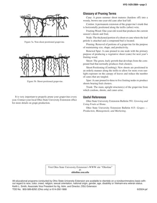 HYG-1429-2004—page 3



                                                                        Glossary of Pruning Terms
...