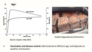  Age:
(Source: Jacquie J. May 2015)
 Vaccination and disease control: Administered at different age, and depends on
weather and location
Sample of egg produced at Omeiza Farm
 
