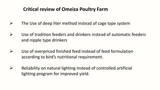 Critical review of Omeiza Poultry Farm
 The Use of deep liter method instead of cage type system
 Use of tradition feeders and drinkers instead of automatic feeders
and nipple type drinkers
 Use of overpriced finished feed instead of feed formulation
according to bird’s nutritional requirement.
 Reliability on natural lighting instead of controlled artificial
lighting program for improved yield.
 
