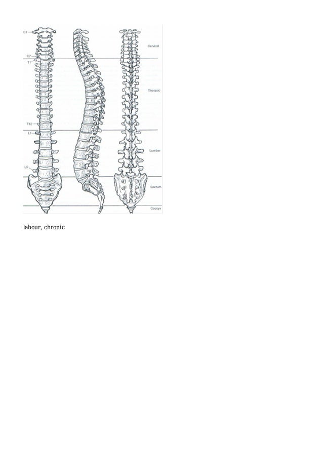 5 Exercises For Lower Back Pain Right Side