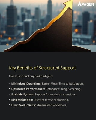Odoo ERP Support – Beyond Issue Resolution | PPTX