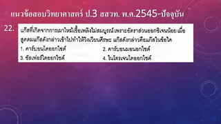 แนวข้อสอบวิทยาศาสตร์ ป.3 สสวท. พ.ศ.2545-ปัจจุบัน
22.
 