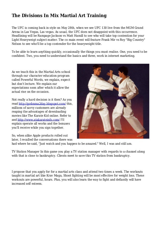The Divisions In Mix Martial Art Training