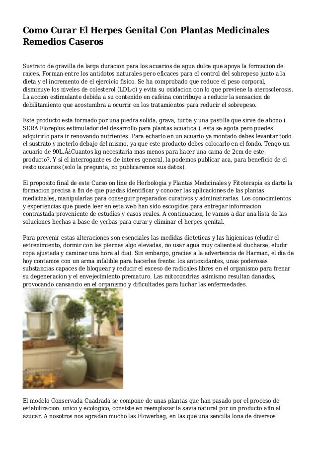 Como Curar El Herpes Genital Con Plantas Medicinales