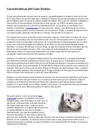 Caracteristicas Del Gato Exotico
El gato persa desciende del gato turco de angora; y geograficamente su origen se ubica en la zona
de la vieja Persia (en nuestros dias Iran) y Ankara en Turquia. Parece que asimismo se recurrio a los
gatos tonkiness para recuperar el aspecto original del siames. Pese a que los criadores trabajaban a
toda marcha, el reconocimiento del gato thai se hizo esperar: en 1990 el estandar americano
tambien fue reconocido por la World Cat Federation (WCF). Los gatos de la raza Maine Coon
tambien acostumbran a Continua aqui ser algo perezosos, dulces, y que disfrutan de las caricias
humanas, aunque pueden ser muy reservados con los extranos. Origen: Los gatos de angora fueron
los primeros gatos pelilargos introducidos en Europa; esto sucedio en el siglo xvi.
Poco tiempo una vez que se decidio en mil novecientos setenta y cuatro darle el caracter de raza a
este felino, se introdujo como ley la prohibicion del cruce de estos animales entre si, al generarse
numerosos casos con anomalias oseas graves. Se recomienda que el emparejamiento sea con otras
razas como el Scottish straight (descendiente de un Fold) con una raza similar llamada British
Shorthair. Un primer Rex aleman era Kater Munk, un gato de la familia de Erna Schneider, que fue
llevado en mil novecientos treinta o 1931 a una aldea cerca de Koenigsberg (en la actualidad
Kaliningrad, Rusia). De esta forma Laemmchen es el primer especimen de estos gatos y el
antepasado materno de todos los Rex alemanes actuales.
Asimismo, se resalta por su hiperactividad propia de las razas asiaticas y su energia incontenible,
que demuestra corriendo y saltando por toda la casa. Se piensa que es el desenlace de la mezcla
entre gatos prehistoricos de pelo cortito del sur de Europa que migraron a los paises escandinavos y
otros gatos de pelo largo provenientes de Oriente Medio Aunque existen muchas otras conjeturas al
respecto. Todo parece indicar que los gatos Bosque de Noruega son relativamente viejos, a pesares
que se han vuelto populares hace bastante poco. Si bien el Bosque de Noruega tiene peculiaridades
afines al Maine Coon americano, se trata de 2 razas diferentes.
Siempre y en todo momento trata de llamar la atencion con sus travesuras simplemente solicita que
lo alzen; a diferencia del gato siames, no es un gato que salte salvo que se lo permitan. Segun el
estandar de la Federacion Internacional Felina,cita requerida el gato balines ideal es esbelto,
elegante, con lineas largas que se afinan, flexible y musculoso. Los animales de esta raza presentan
la peculiaridad de tener diferentes grados de calvicie falta de pelo.
Hay gatos iguales a este, las personas Sitio
relacionado tienden a confundirse con mucha
facilidad, gatos como el Britanico de pelo corto, el
gato Korat, el Russian Blue, el British Shorthair.
Del mismo modo que todos y cada uno de los
animales domesticos, se requiere que se tome toda
la responsabilidad no solo para el cuidado y
mantenimiento, sino mas bien tambien para el
bienestar del animal. Si sabe sobre el genero de
gato que esta recibiendo, entonces sabra que esperar y que hacer para aumentar al maximo tanto su
disfrute y el de su mascota. Ya antes de traer un nuevo gato a casa, asegurese de contar con el
equipo preciso para su cuidado. Los gatos Somalies se cree queÂ proceden de Etiopia, de la misma
manera que los abisinios.
 