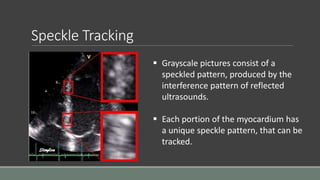 Speckle Tracking 
 Grayscale pictures consist of a 
speckled pattern, produced by the 
interference pattern of reflected 
ultrasounds. 
 Each portion of the myocardium has 
a unique speckle pattern, that can be 
tracked. 
 