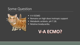 Some Question 
 V-V ECMO 
 Remains on high dose inotropic support 
 Metabolic acidosis. pH 7.18. 
 Relative bradycardia. 
 