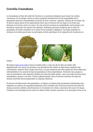 Graviola Guanabana
La Guanabana la fruta del arbol de Graviola es un producto milagroso para matar las celulas
cancerosas. En la terapia contra el cancer podemos beneficiarnos de las propiedades de la
guanabana graviola consumiendola en forma de fruta, extracto, capsulas, infusion de sus hojas, etc.
Si bien la mayor parte de los especialistas dicen que el extracto de sus hojas es la forma mas
eficiente en la lucha contra el cancer. En este articulo veremos las propiedades nutricionales y los
beneficios reales que nos aporta este alimento. Bastantes personas aseguran que la toma de
guanabana de forma constante en su dieta les ha ayudado a adelgazar. Las hojas asimismo se
incluyen en la dieta puesto que sus principios activos participan en la regulacion de la glucosa en
sangre.
Mi esposo entra en la web la toma en batido todos y cada uno de los dias por haber sido
diagnosticado con cancer de prostata y los desenlaces han sidoSi en algo puedo ayudarle muy
convenientes, primero Dios y luego esta fruta. Los que aseguran que han sanado por favor digan que
enfermedades le ha sanado la hoja de guanabana la fruta especifiquen. Declarate sana amiga yo,
tomo la guanabana como alimento tambien me estoi haciendo quimio , pero me acabo de hacer estoi
sanabiopsia y gracias a mi Dios. Tanto la glibenclamida como el extracto etanolico de hojas de
Annona muricata fueron preparados en capsulas identicas.
El proceso de fabricacion esta patentado y se fabrica en Espana bajo parametros industriales muy
exigentes en materia de seguridad alimenticia (ISO veintidos mil). Extractos del fruto del arbol de
Annona muricata inhiben selectivamente el crecimiento de celulas cancerosas del cancer de mama.
Conforme una investigacion de cancer en Reino Unido, Annona muricata es un principio activo en un
 