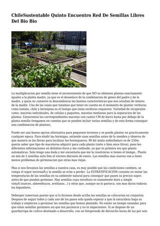 Semillas Batlle para huerto urbano y horticultura sostenible