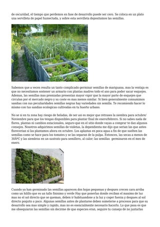 Semillas Batlle para huerto urbano y horticultura sostenible