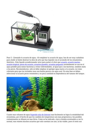 Paso 5.- Llenando tu acuario de agua.- Al completar tu acuario de agua, has de ser muy cuidadoso
para eludir al limite destruir la obra de arte que has logrado con el acomodo de los ornamentos.
Anticloro.- Este liquido acondicionador sirve para quitar el cloro que acuario, acuario marino,
acuario tropical, peces de acuario, acuarios grandes, acuarios pequenos normalmente se usa en el
agua potable para matar bacterias y evitar enfermedades, al igual que a las bacterias, tambien mata
a los peces. Recomendacion, solo se debe emplear al agregar agua nueva a tu acuario, no como
colorante para que tus invitados vean una bonita pecera con agua azul. En esta fase se deben
seleccionar al acuario peces resistentes y en poca cantidad en dependencia del tamano del tanque.
Cuanto mas volumen de agua Sugerido sitio de Internet mas facilmente se logra la estabilidad del
ecosistema, por el hecho de que los cambios de temperatura son mas progresivos y los posibles
contaminantes se diluyen en mas litros. Como se ha indicado, cinco cristales acostumbra a ser lo
normal, mas existen muchos acuarios que solo cuentan con uno, la faz visible, pues el resto son
 