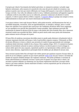 Il Mio Acquario | PDF