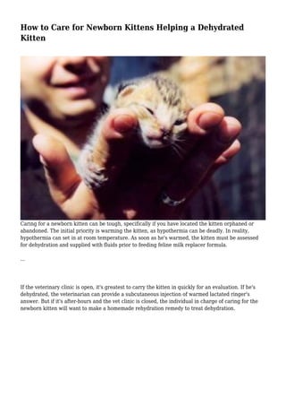 Kitten dehydration home remedy sale