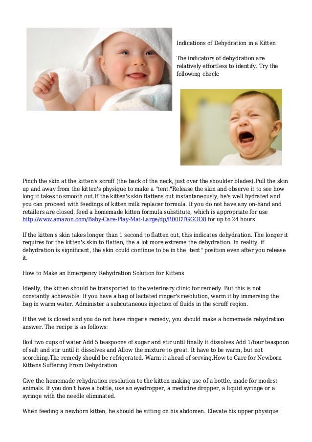 How to Care for Newborn Kittens Helping a Dehydrated Kitten How to Care for Newborn Kittens Helping a Dehydrated Kitten