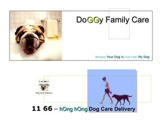 11 66  –  hOng hOng   Dog Care Delivery Do GG y Family Care Because  Your Dog is   ( Just Like )  My Dog Dog Care Delivery G  11 66  G   hOng hOng 