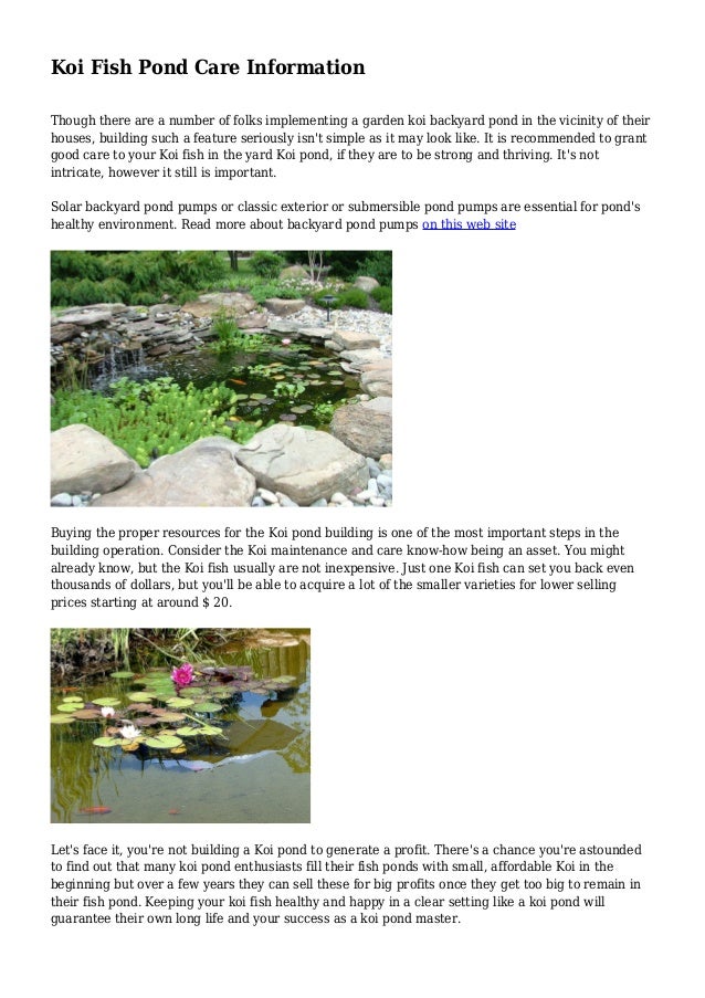 koi fish pond care