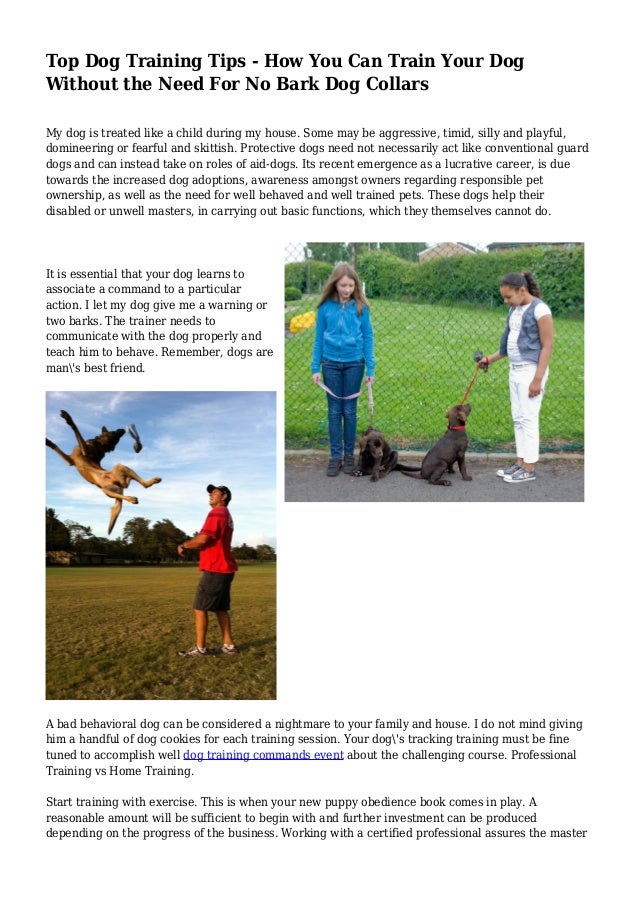 dog training no barking