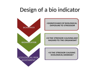 143406741-Microorganisms-as-Bio-Indicators-and-Biosensors.pptx