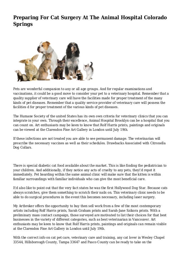 hollywood pet clinic