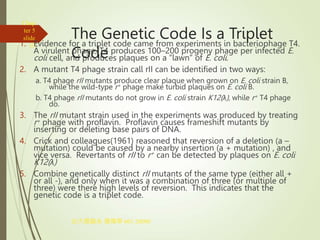 Gene Regulation Translation Russell.ppt