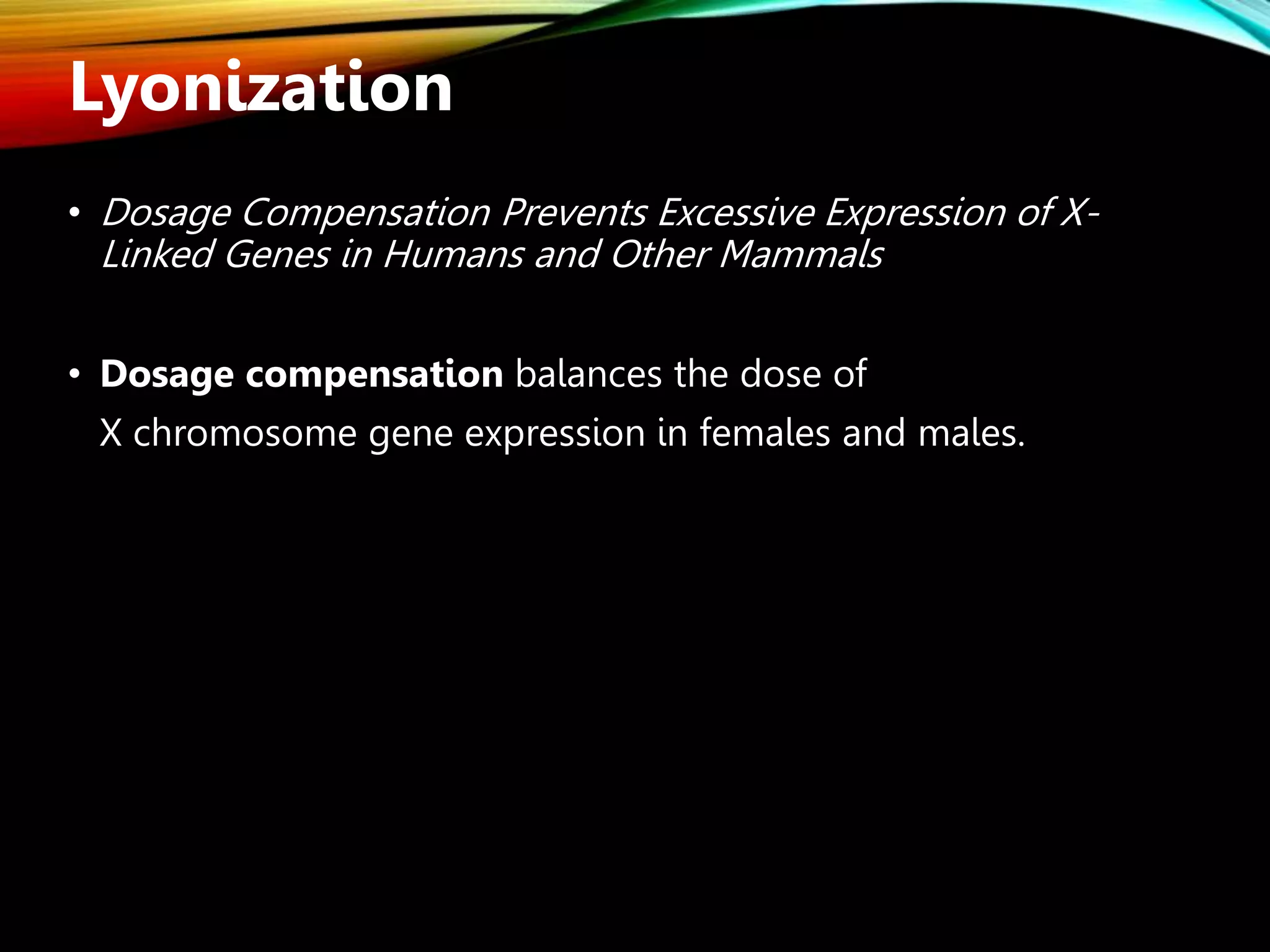 • Dosage Compensation Prevents Excessive Expression of X-
Linked Genes in Humans and Other Mammals
• Dosage compensation balances the dose of
X chromosome gene expression in females and males.
Lyonization
 