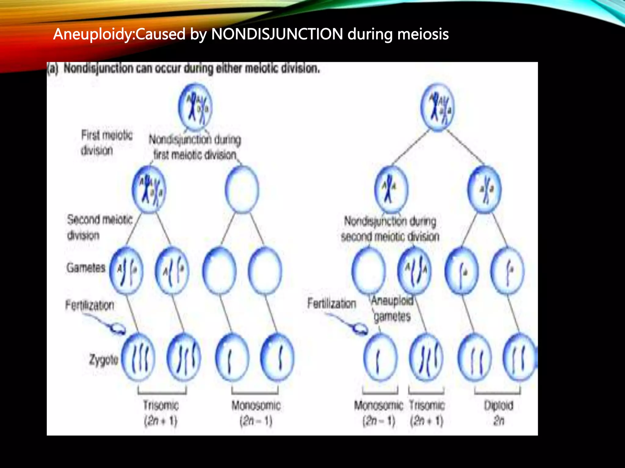 Aneuploidy:Caused by NONDISJUNCTION during meiosis
 