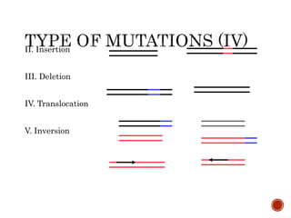 Mutation and repair .ppt