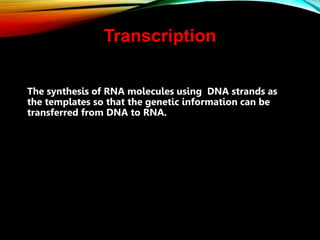The synthesis of RNA molecules using DNA strands as
the templates so that the genetic information can be
transferred from DNA to RNA.
Transcription
 