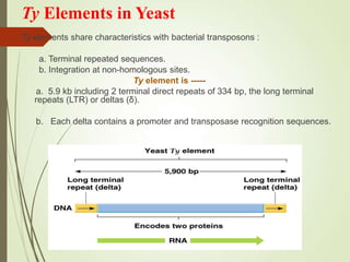 Ty Elements in Yeast
Ty elements share characteristics with bacterial transposons :
a. Terminal repeated sequences.
b. Integration at non-homologous sites.
Ty element is -----
a. 5.9 kb including 2 terminal direct repeats of 334 bp, the long terminal
repeats (LTR) or deltas (δ).
b. Each delta contains a promoter and transposase recognition sequences.
 