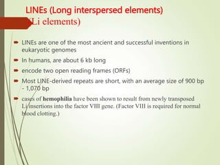 LINEs (Long interspersed elements)
(Li elements)
 LINEs are one of the most ancient and successful inventions in
eukaryotic genomes
 In humans, are about 6 kb long
 encode two open reading frames (ORFs)
 Most LINE-derived repeats are short, with an average size of 900 bp
- 1,070 bp
 cases of hemophilia have been shown to result from newly transposed
Li insertions into the factor VIII gene. (Factor VIII is required for normal
blood clotting.)
 